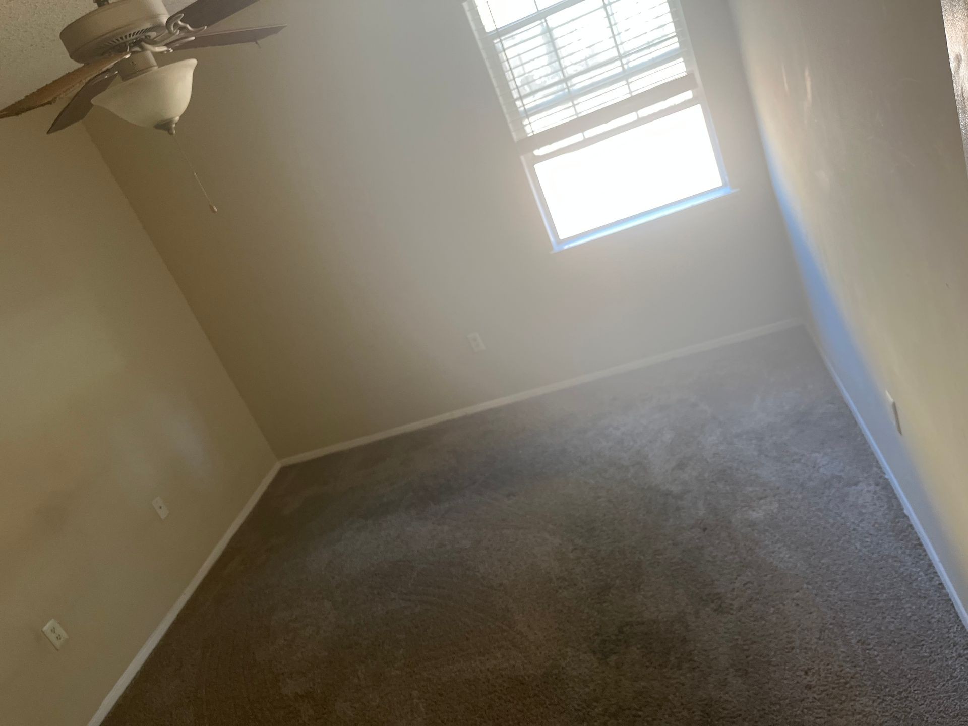 Move-In/Move-Out Cleaning